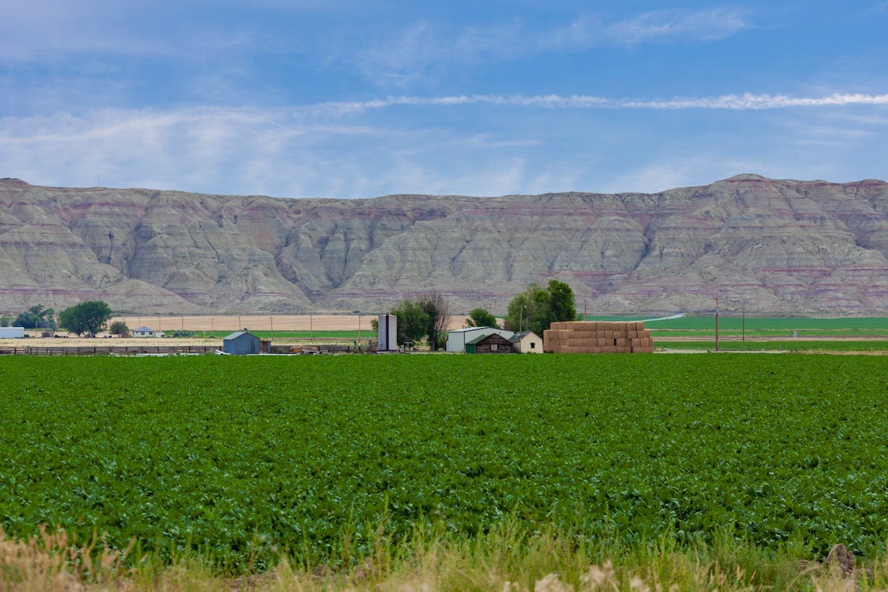 How Satellite Technology Is Use In Agriculture